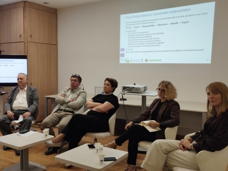 From National Priorities to LIFE Projects: Developing the Roadmap for National LIFE Actions